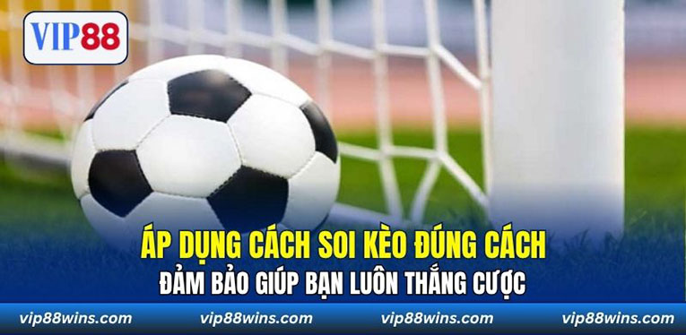Áp dụng cách soi kèo đúng cách đảm bảo giúp bạn luôn thắng cược